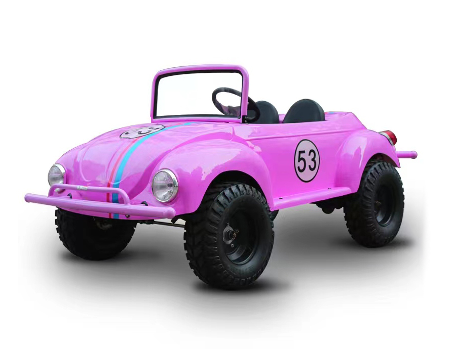 小龜王電動車